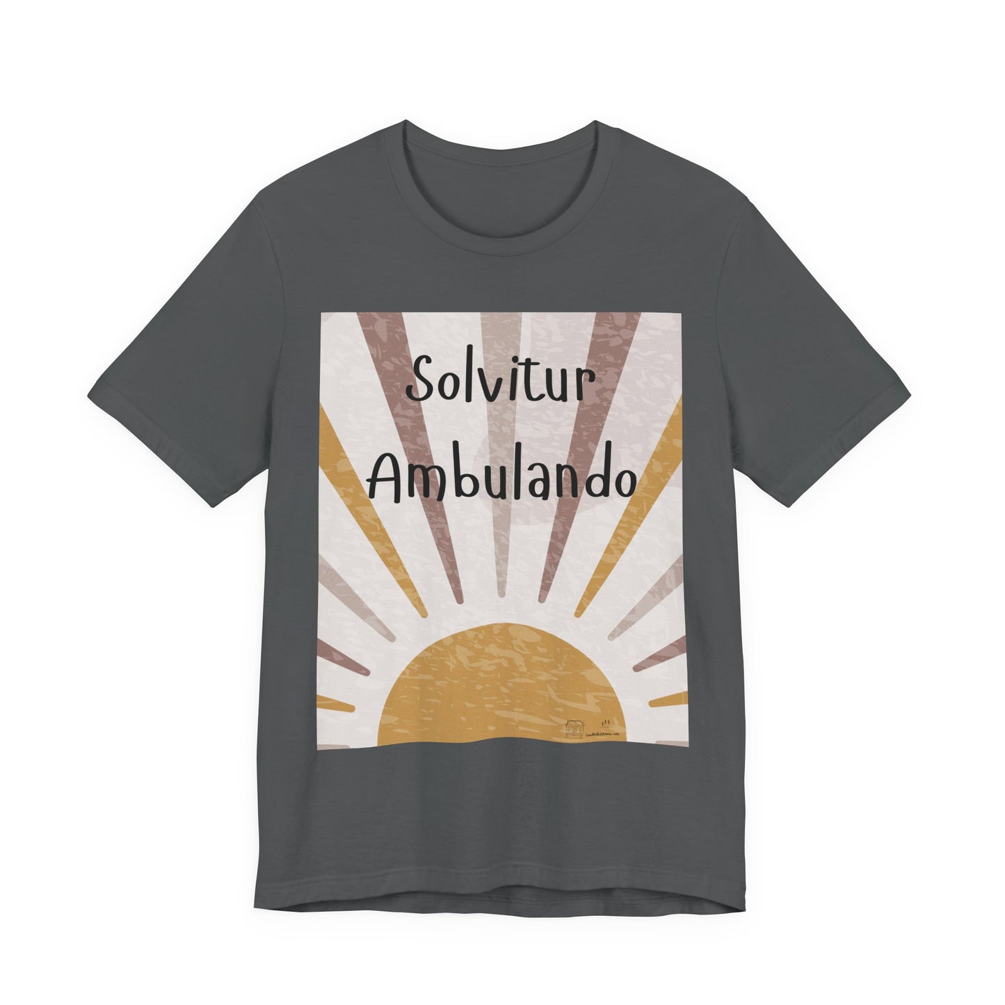 Salvitur Ambulando (It is Solved by Walking) T-Shirt